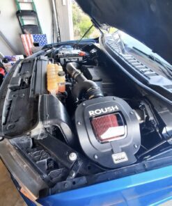 Alternative view of F150 Roush Air intake